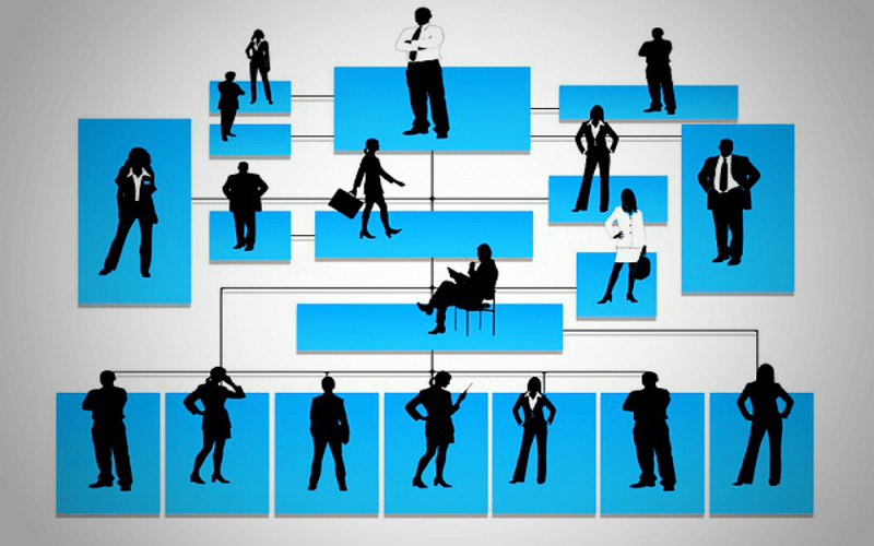 Organization-Structure